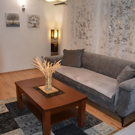 アパート Old Town 3 Bedroom With Garage And Terrace サラエヴォ